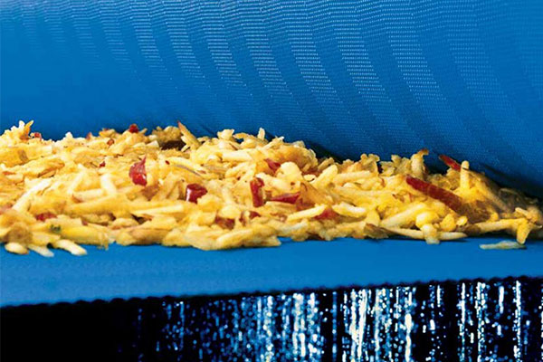 Juice press mesh belt
